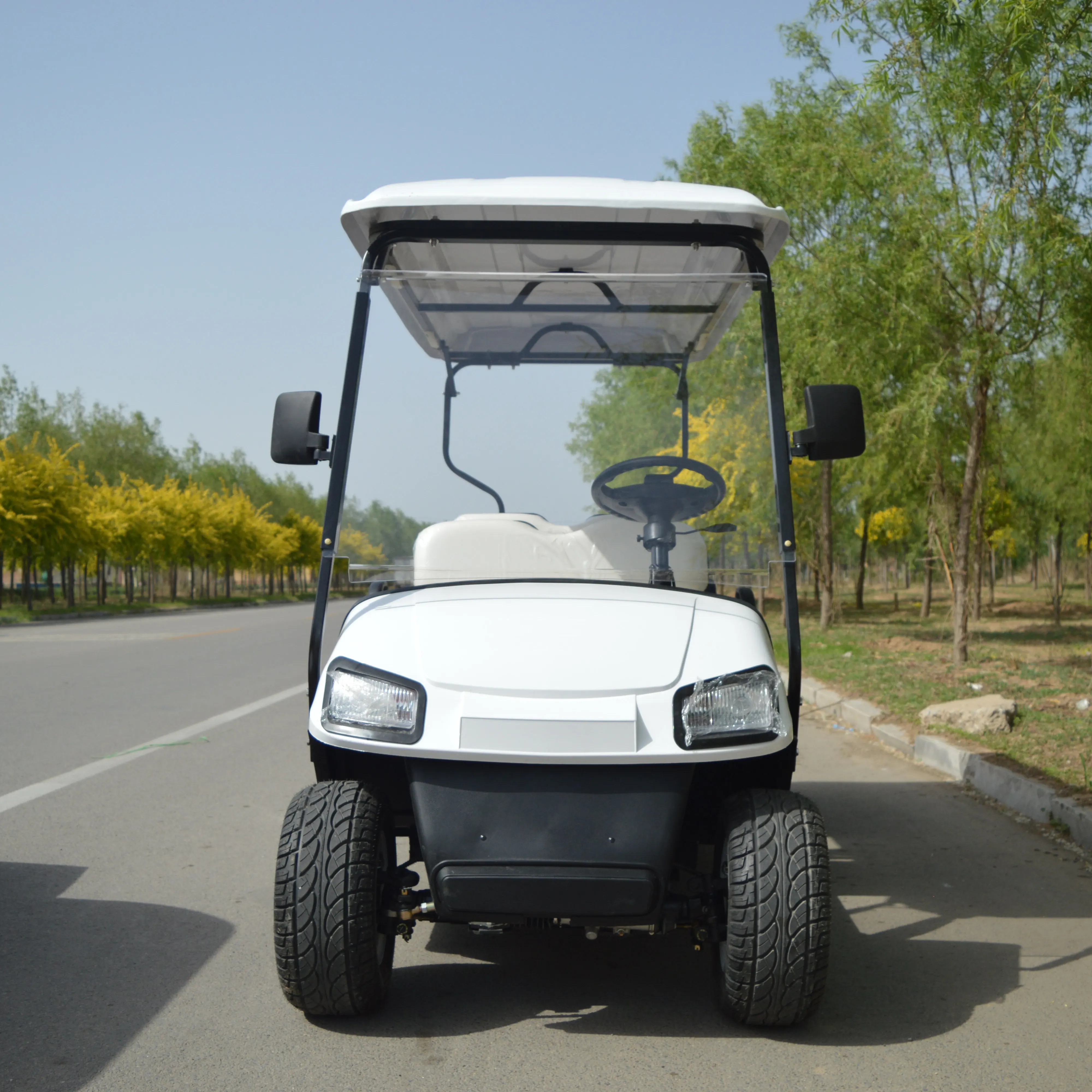 2/4/6/8 Seats Electric Road Golf Cart with Curtis Controller Metal Steel Plastic Hunting Buggy Scooter for Golf Trolleys