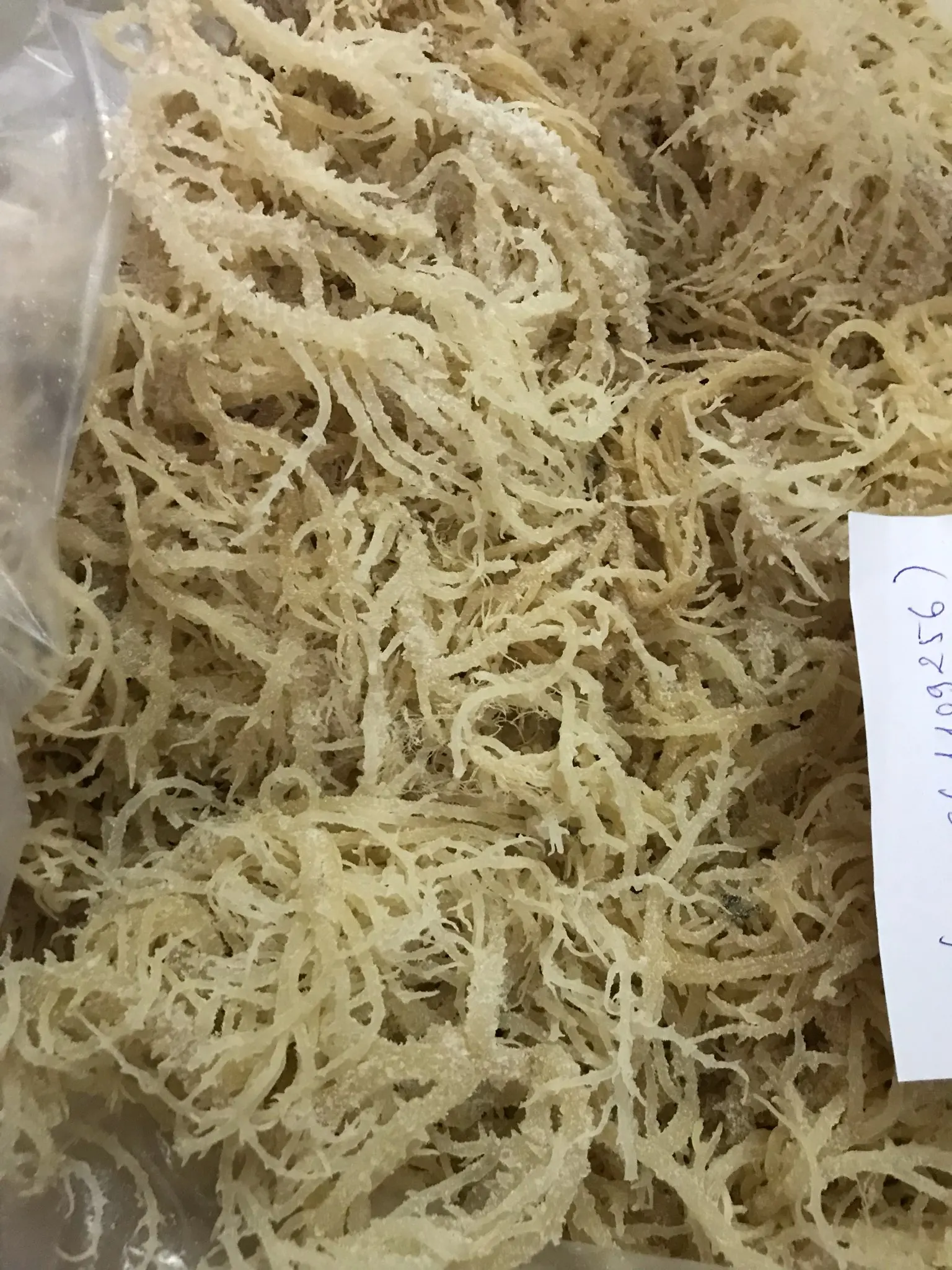 
High Quality Eucheuma Cottonii/Sea Moss from Viet Nam 0084 947 900 124 