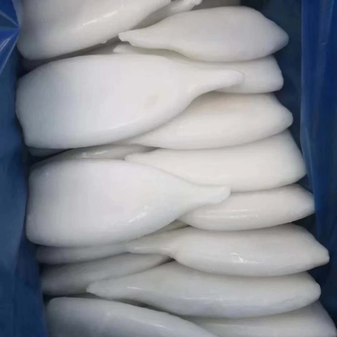 Illex squid tube Illex Squid Tube  good quality  with glazing