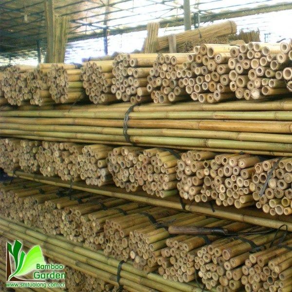 Good quality raw bamboo flag pole