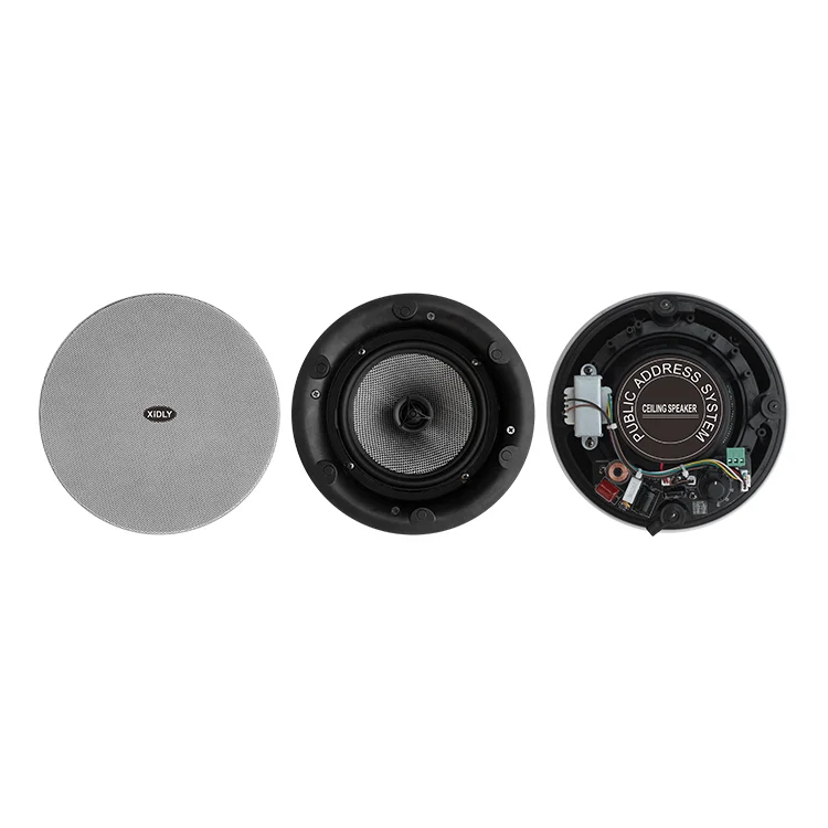 XIDLY - New design 100v 2-way coaxial passive pa Ceiling Speaker for background music