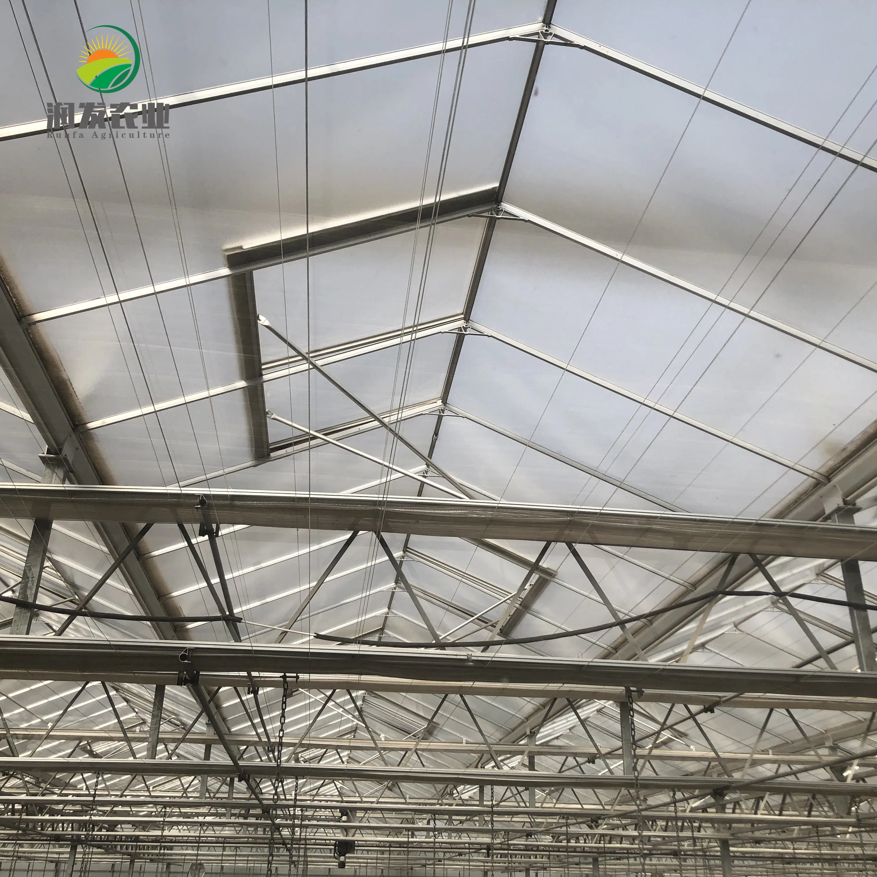 Smart Glass Greenhouse For Soilless Culture System Greenhouses Wholesale