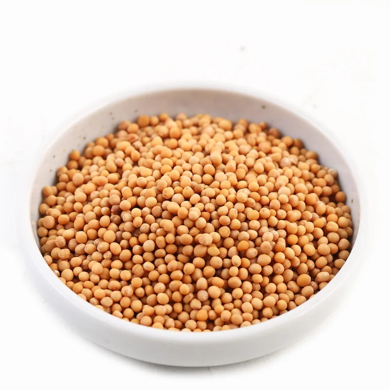 Оптовый Поставщик, семена специй крупными партиями сушеных горчичных, заводская цена