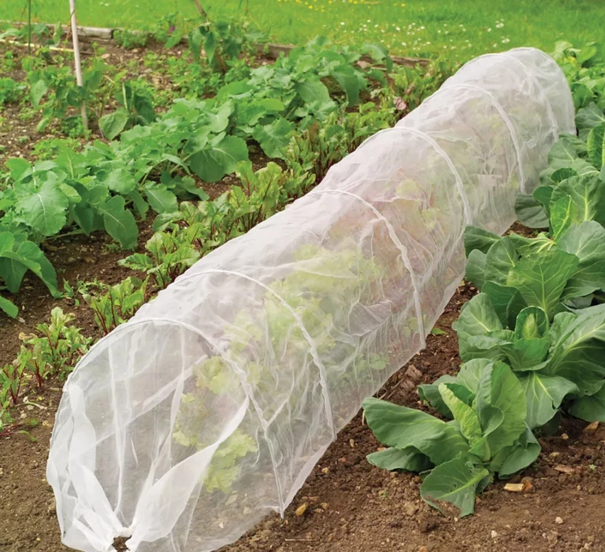 Vegetable planting greenhouse bracket vegetable mini greenhouse set vegetable protection rack