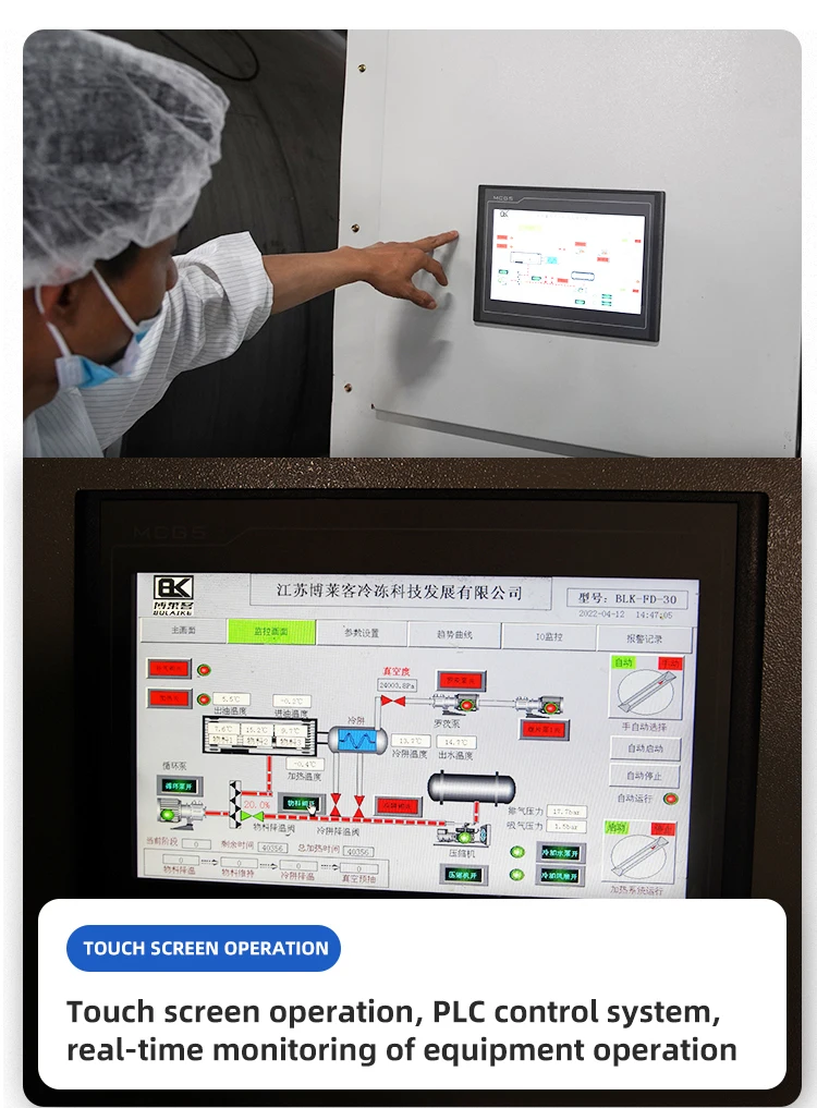 New Original intelligent control multi-system integration complete specifications freeze dryer machine
