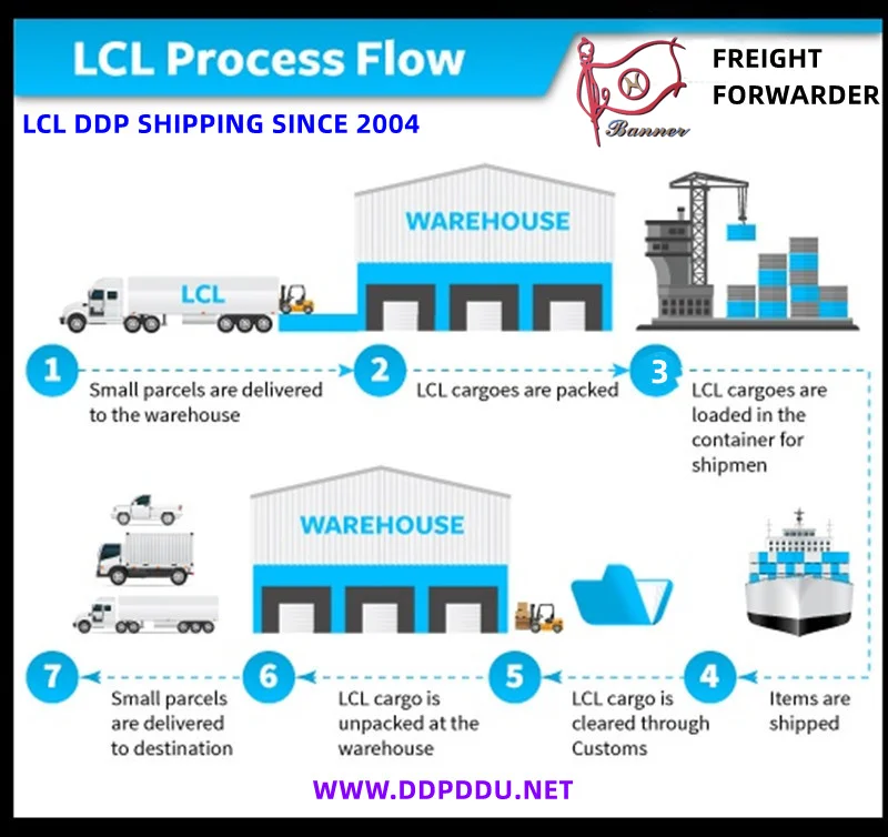 FCL LCL sea shipping  CIF FOB  booking agent  from ShenZhen GuangZhou  ShangHai Ningbo QingDao  TianJin to USA  Canada  Mexico
