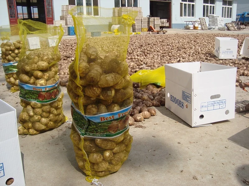 Китайский свежий Таро