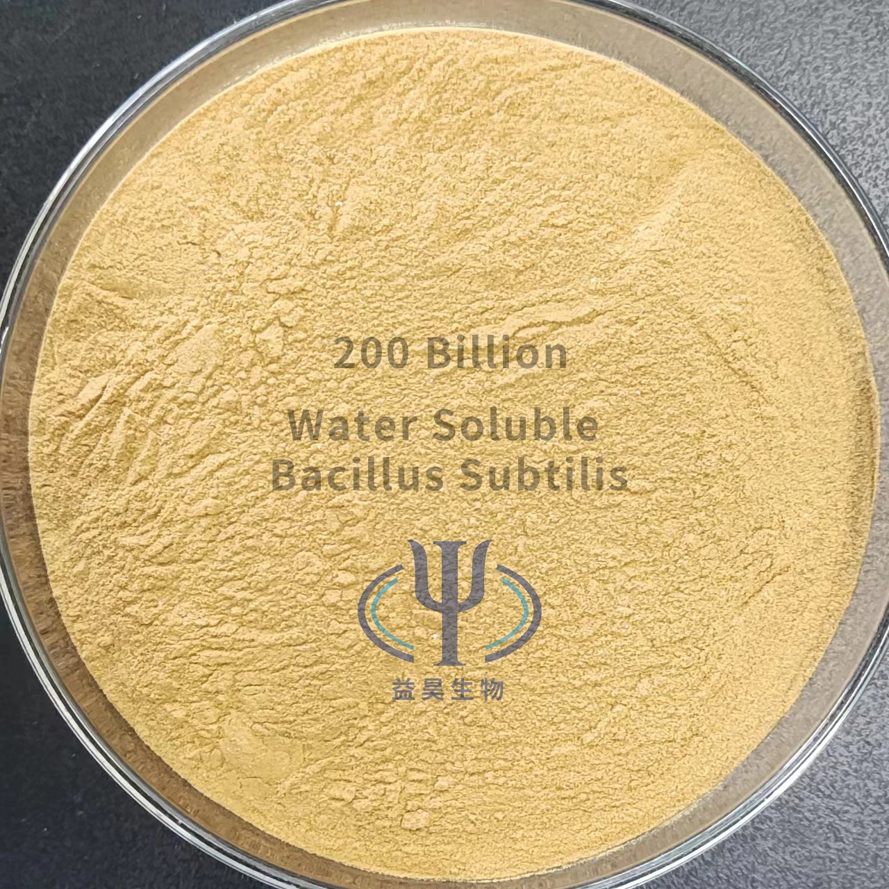 Hot Sale Nutritional Supplements Compound Probiotics Bacillus Laterosporus 100 Billion Cfu