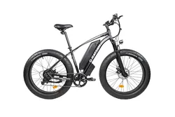 48v750w electric fat bike electric 24v mtb fat bicycle electric down hill mountain bike