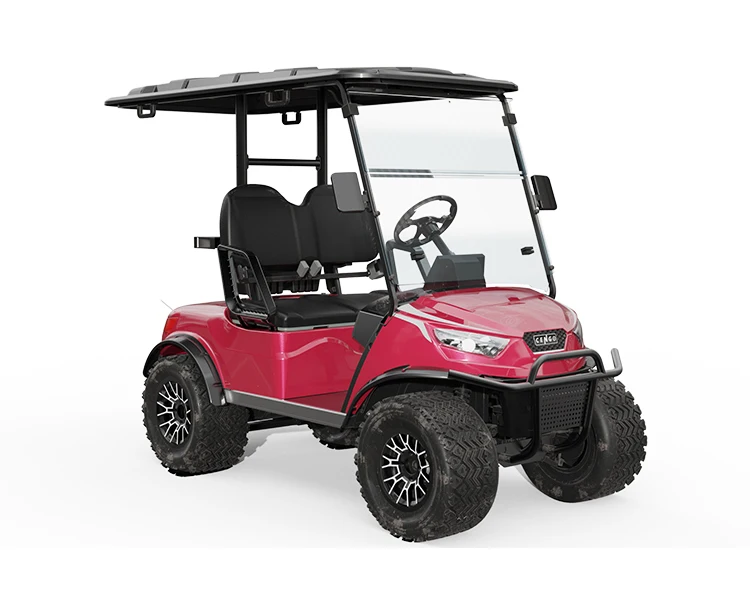 Cengo NL-JA2.G CLUB CAR 2 seater Passenger Golf Car Electric Golf Cart with 4KW Motor for Sightseeing