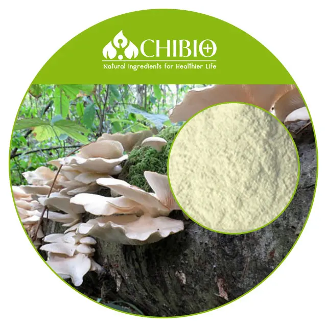 Kosher Ingredients Mushroom Chitosan Powder Raw Material Supplier