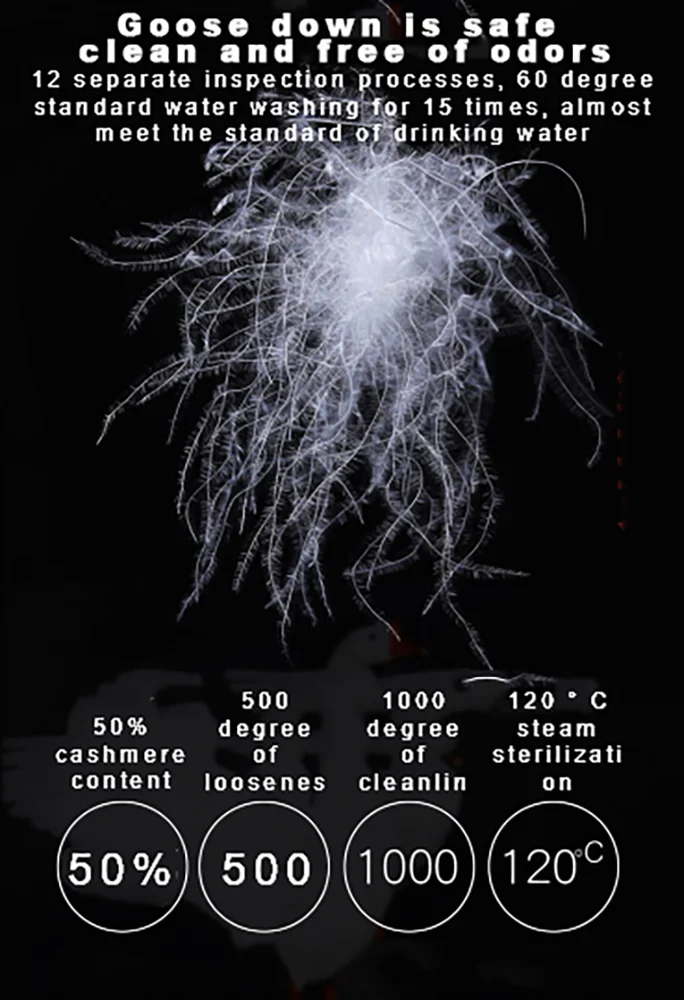 The Best Selling and High Quality Five Star Hotel Comfortable White Down Quilt