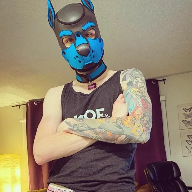 Apply to cosplay Props dog Head Neoprene Sponge Headgear fetish puppy play  pup hoods dog fetish-mask supplier