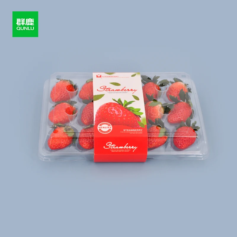 15 holes Fresh Fruit Storage Container Clear Disposable Plastic Fruit Packaging Box For Strawberry