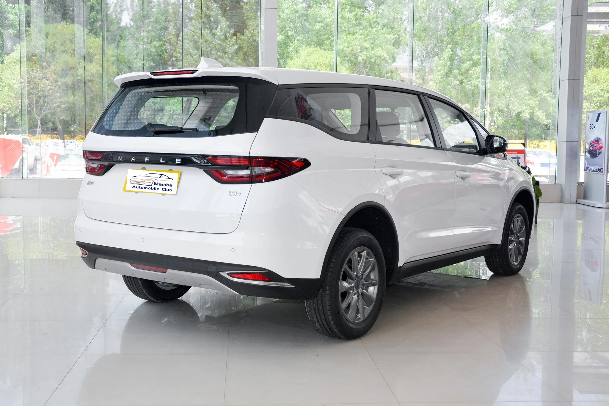 Charger for New Energy Vehicles 4 Seat Automobile Electric Power Vehicles Adults New Energy Vehicles LIfan Maple leaf 80V