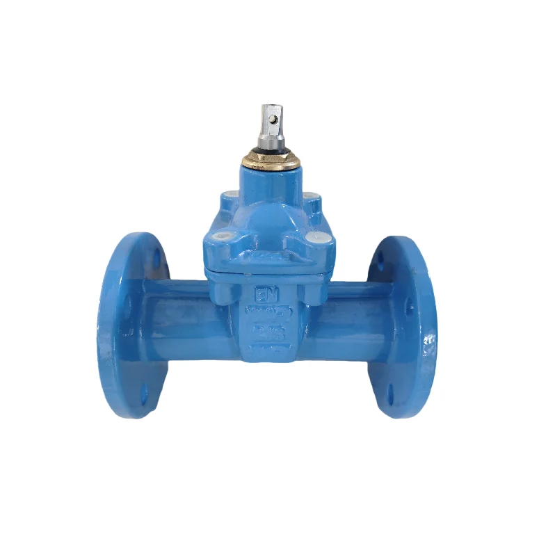 DIN3352 F5 / En 1171 Pn10 Pn16 Pn25 DN50 Non-Rising Stem Resilient Seated Gate Valve Ductile Iron Ggg50