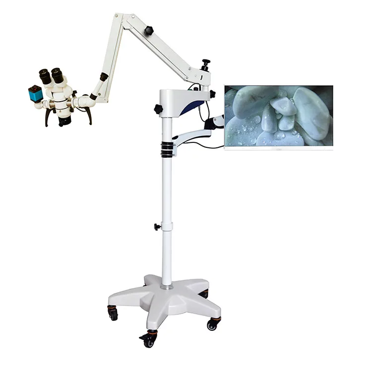 Dental Ent Surgical Operating Microscope With Cheap Price