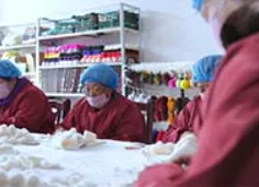 Mongolian Long Hair Sheep Plate Fur