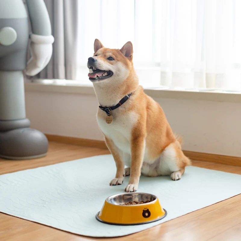 2021 Лидер продаж моющиеся подушечки для