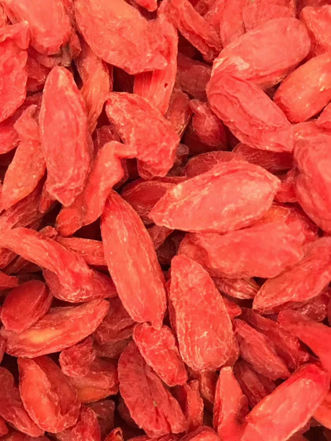 Wolfberry Goji Berries Hot Selling High Chinese New Corp Red Medlar Lyciun Plus Chinese Wolfberry Dried Fruit ningxia goji berry