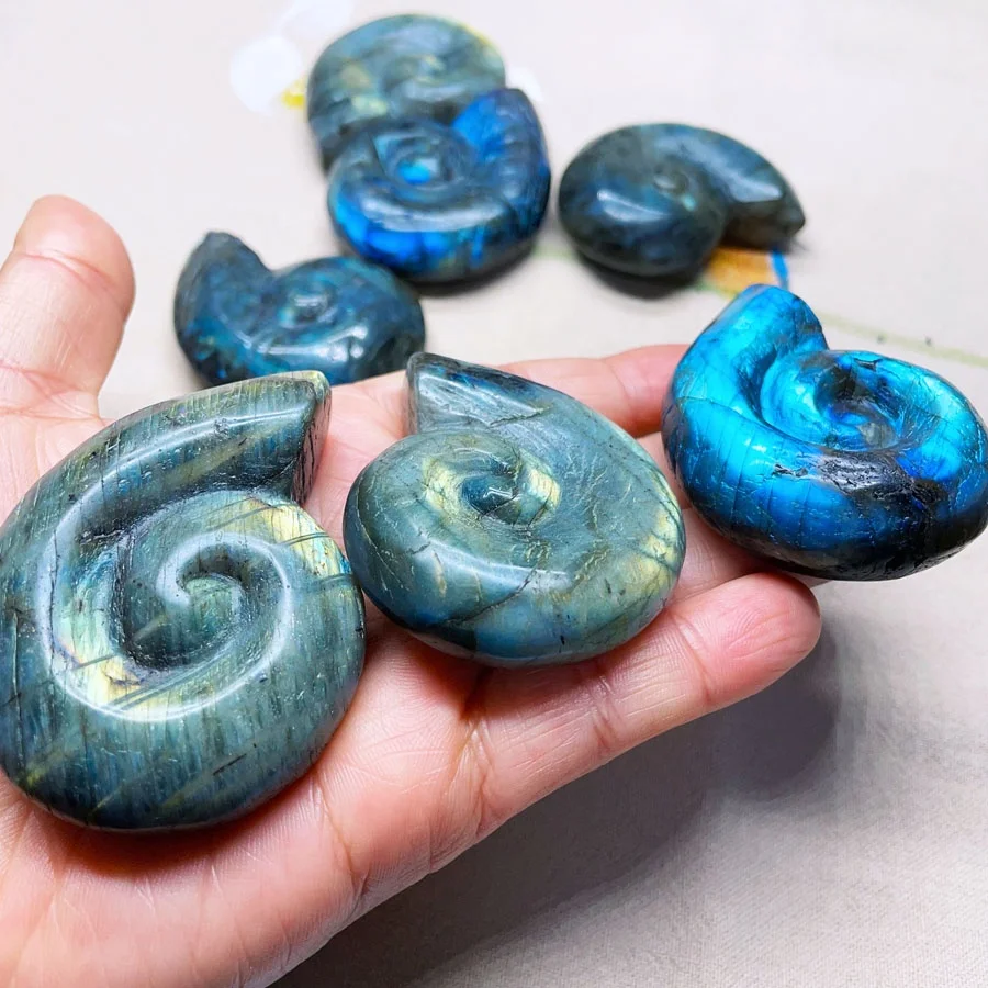 Hand Carved Labradorite Ammonite Conch Fossil for Collection Gifts Mineral Specimen