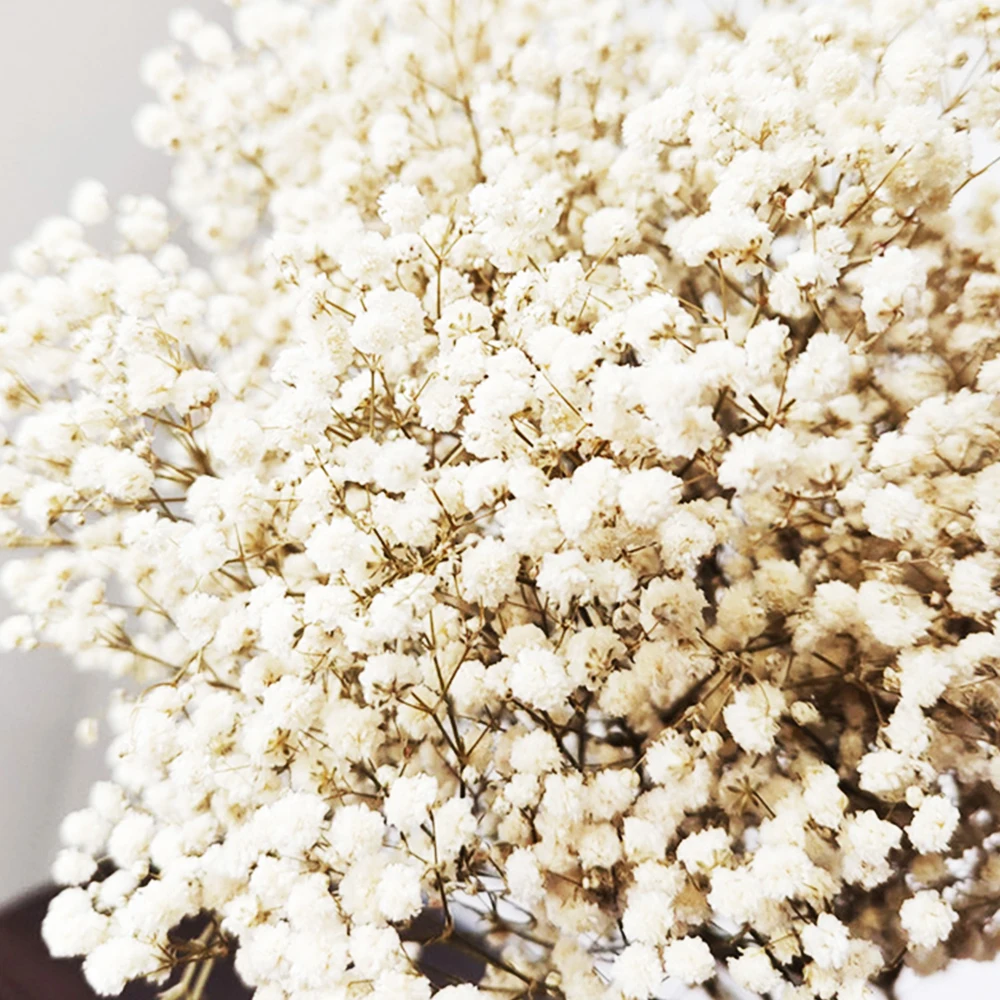 wholesale purple dried hibiscus flower hair dried flowers degradable resin name letter light Yunnan real dried flower epoxy