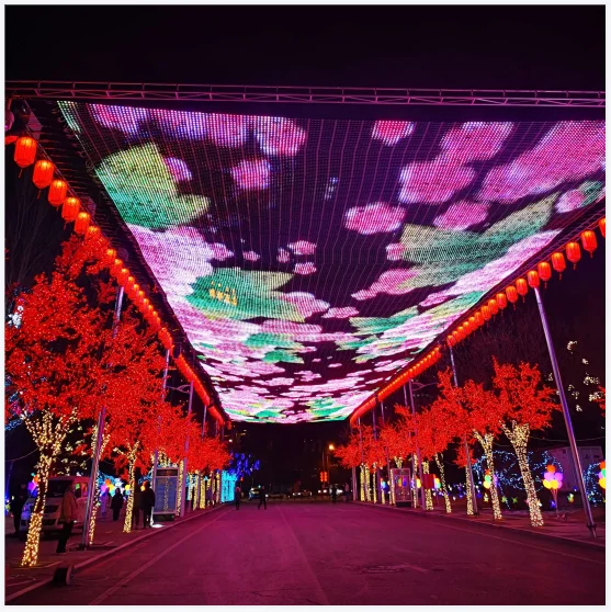 DC12V 100mm Pitch Addressable WS2812B RGB Smart LED Flexible Seed Flexible Matrix Grid Screen Lights P67 Clear Wire 1M wide