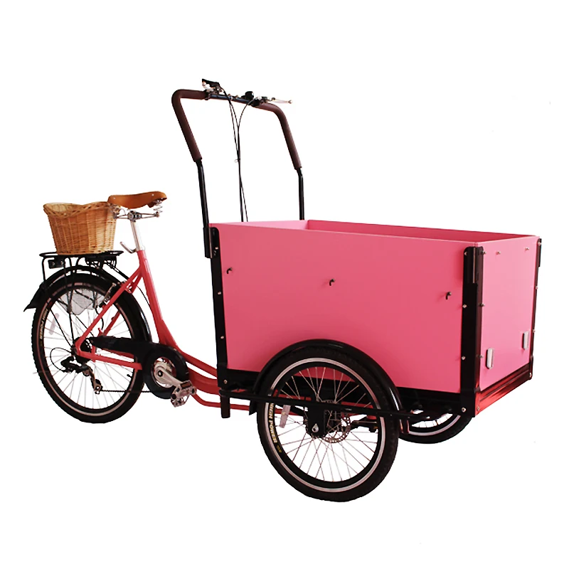 2022 good quality electric 2 wheel adult trike cargo electro tricycle with front two wheel for passenger child seat