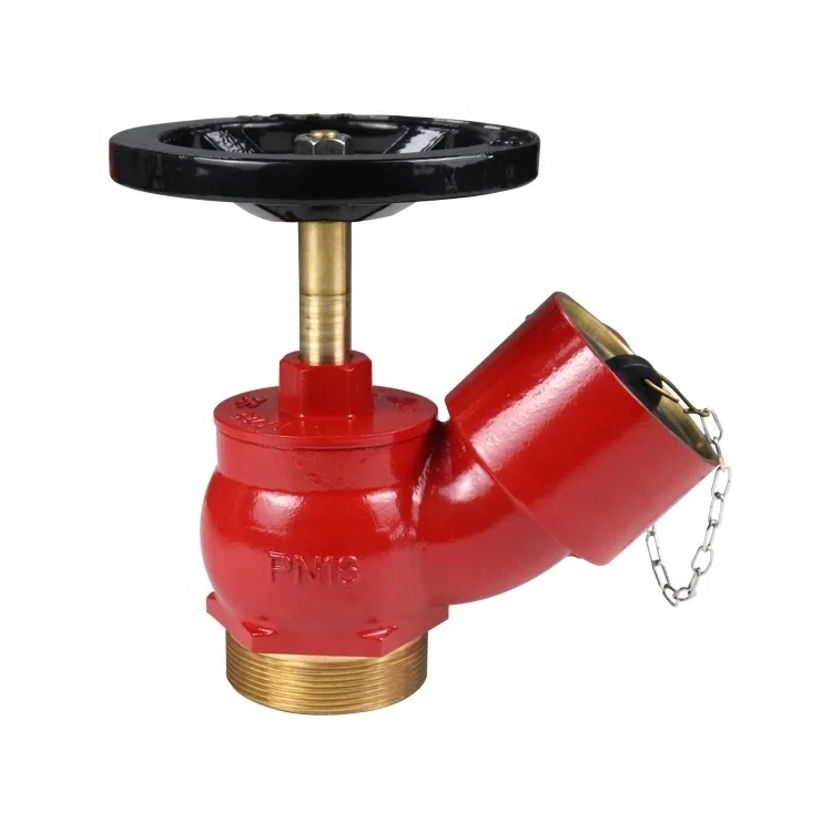 
2.5 Inch Oblique Landing Valve Hydrant Valve 
