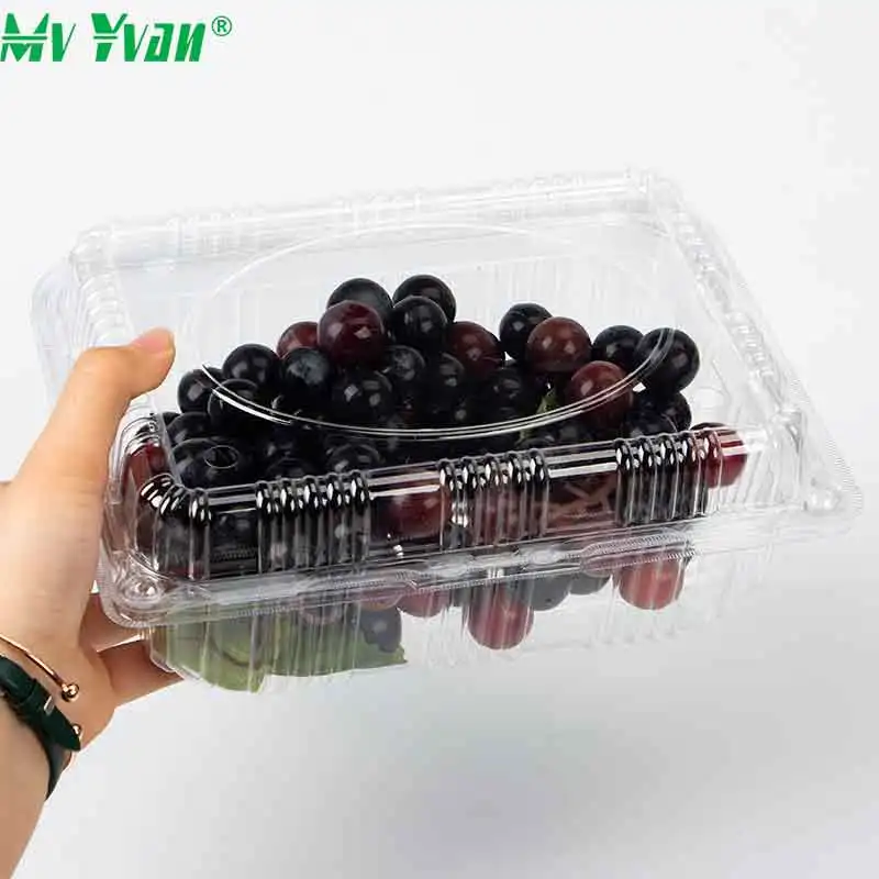 Clear Blister Pet Plastic Food Grade Clamshell Fresh Fruit and Vegetable Container