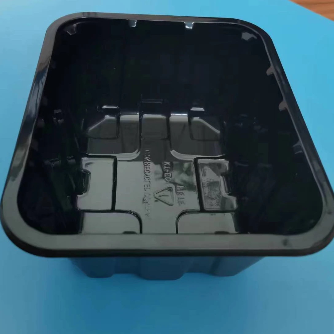 Mushroom Plastic Packing Tray Box