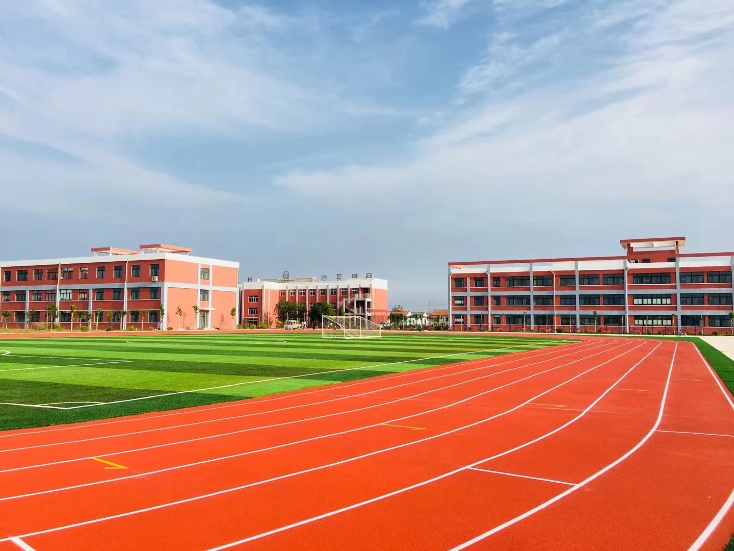 2024 Flyon High Quality Rubber Running Track Full Pour System Running Track