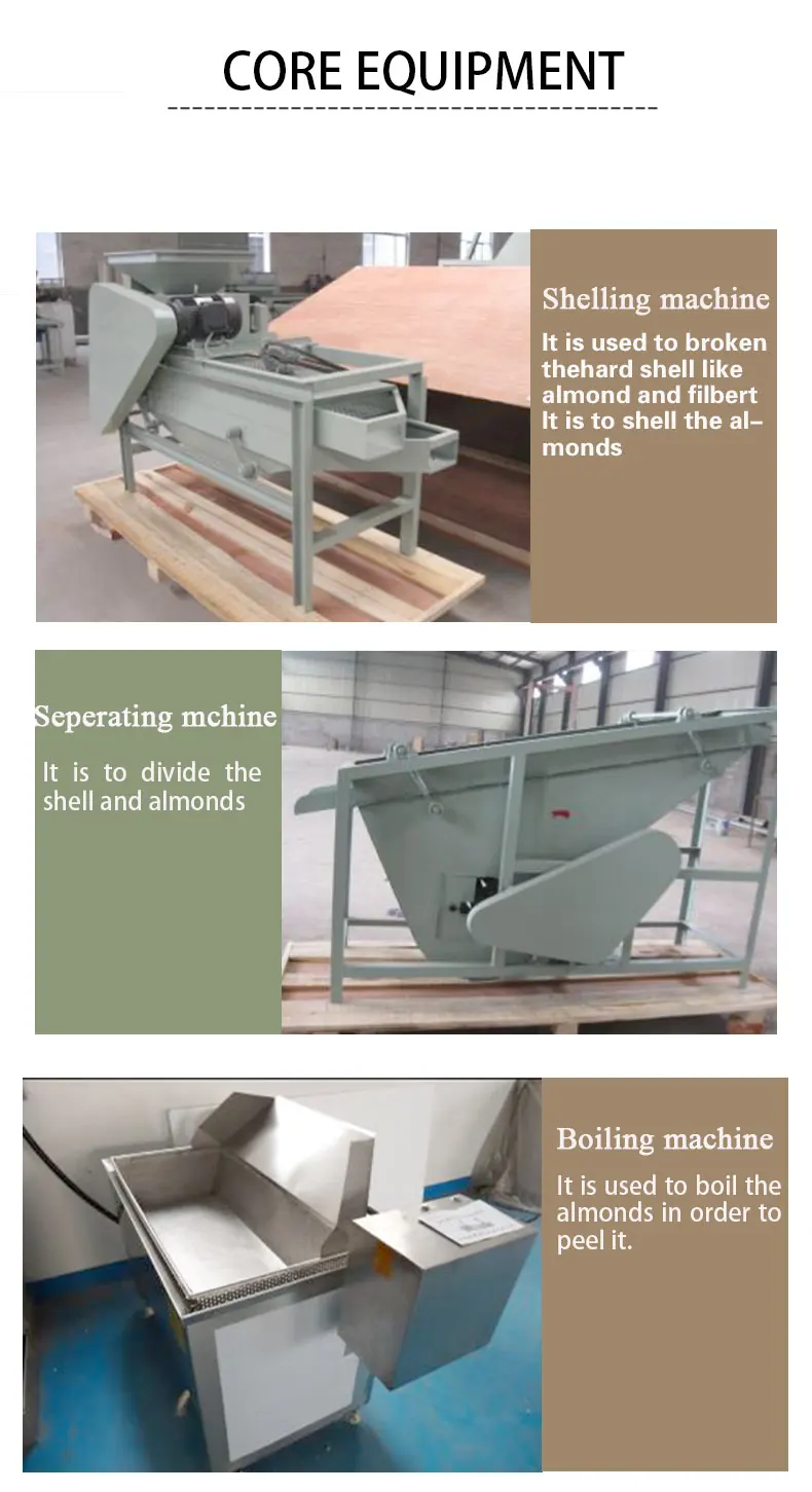 Nuts Roasting Production Line Almond Cashew Hazelnut Peanut Pistachio Sunflower Seeds Roasting Machines Line