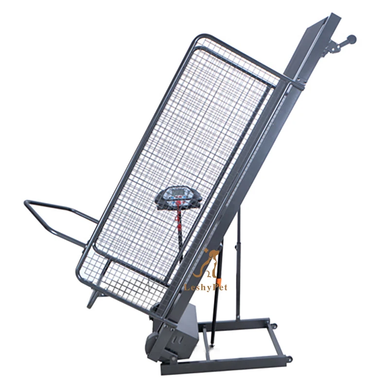 Беговая дорожка для собак