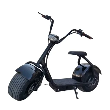 New Style Simple Electric Bike Electric Scooter Adults Strong Power Electric Motorcycle