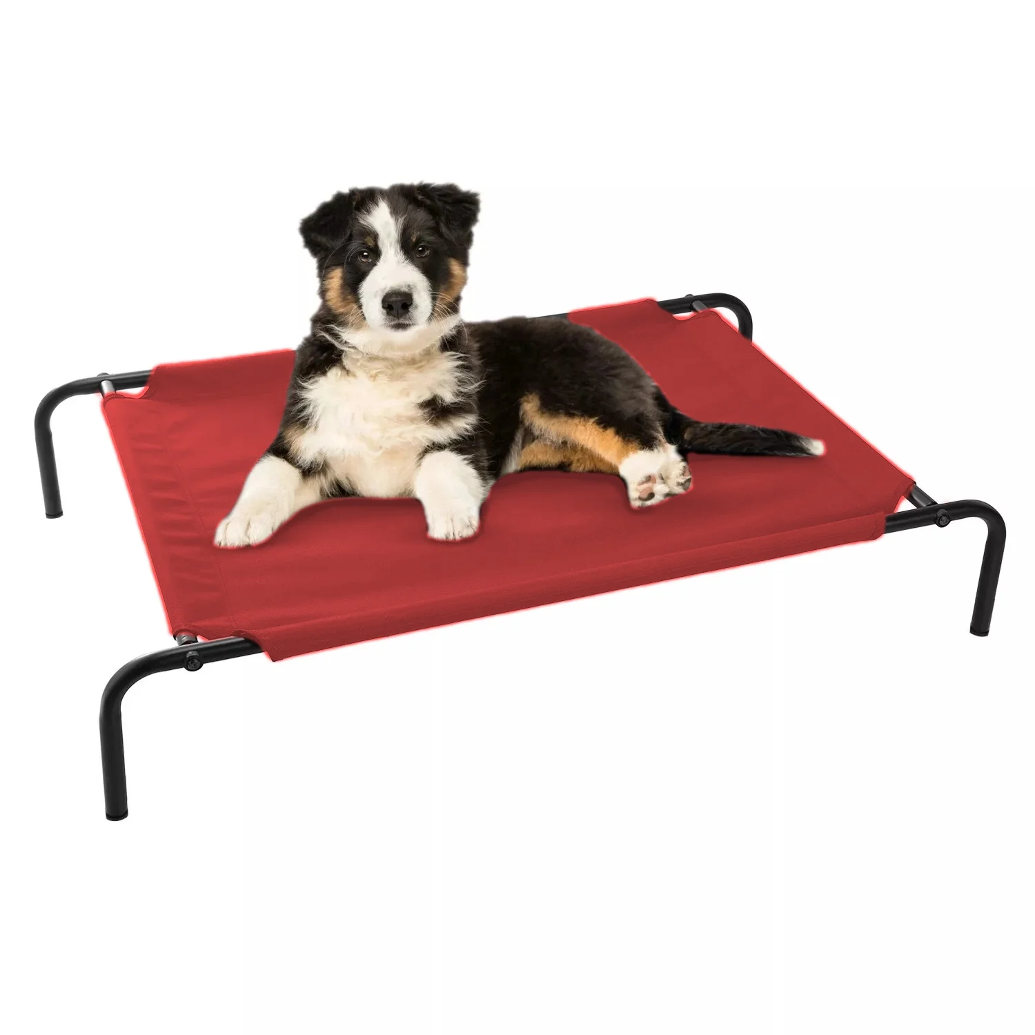 elevated dog bed off the ground and incorporates our self-warming technology Durable tested for strength holds up to 200 pounds