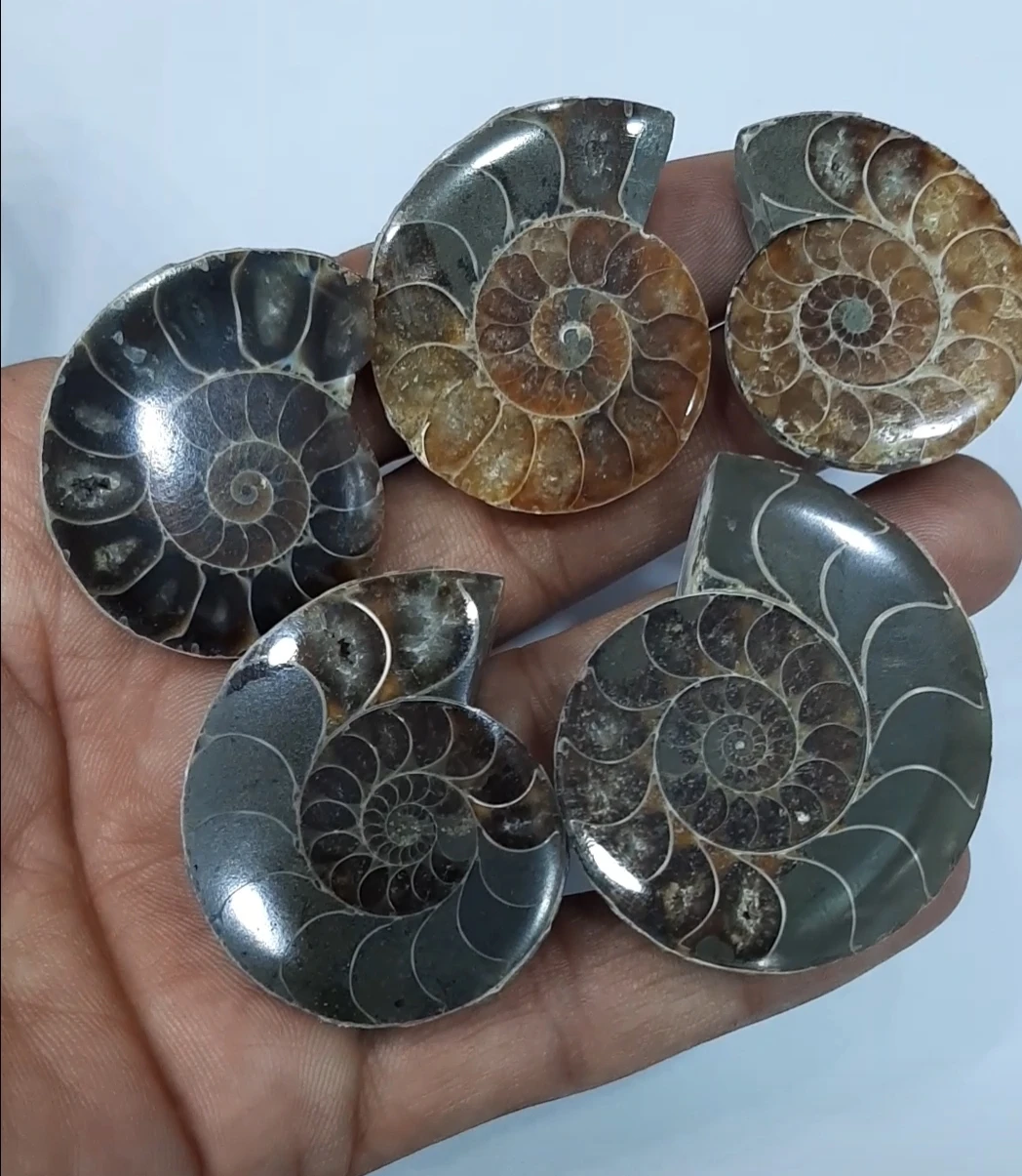 Хорошее качество золотой драгоценный камень Apache для модных ювелирных изделий натуральный металлические ювелирные изделия набор мужчин размер 12x16 мм