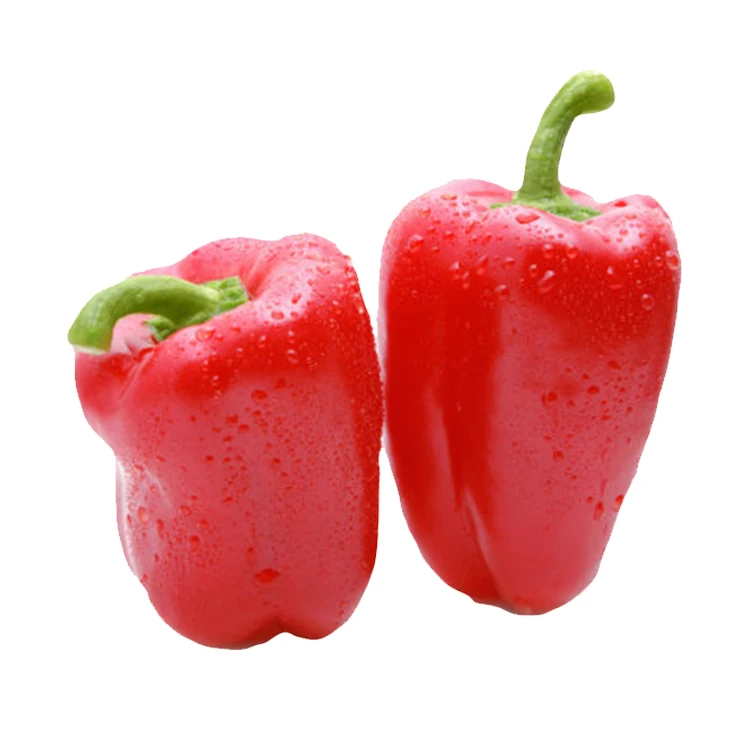 
Factory Sale High Quality Natural Fresh Chili Pepper Red Capsicum 