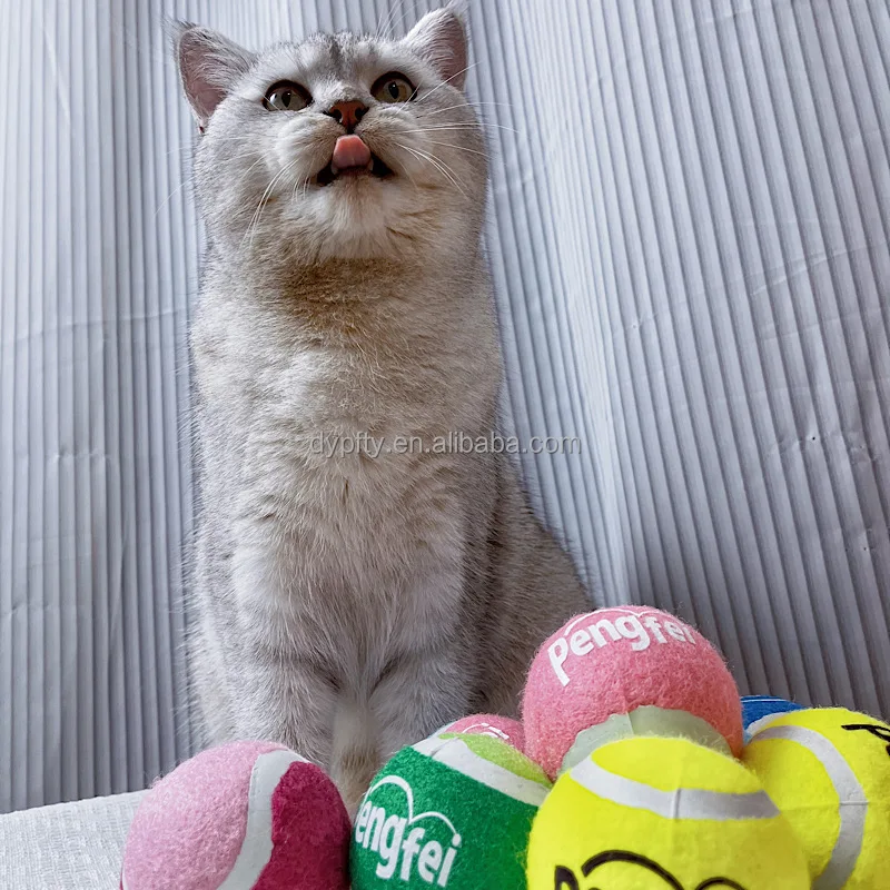 Wholesale Dog Tennis Ball Toy For Dogs Custom 2.5