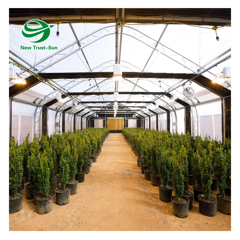 
Hot Sales Agricultural single-span tunnel film industrial greenhouse with blackout shading system 