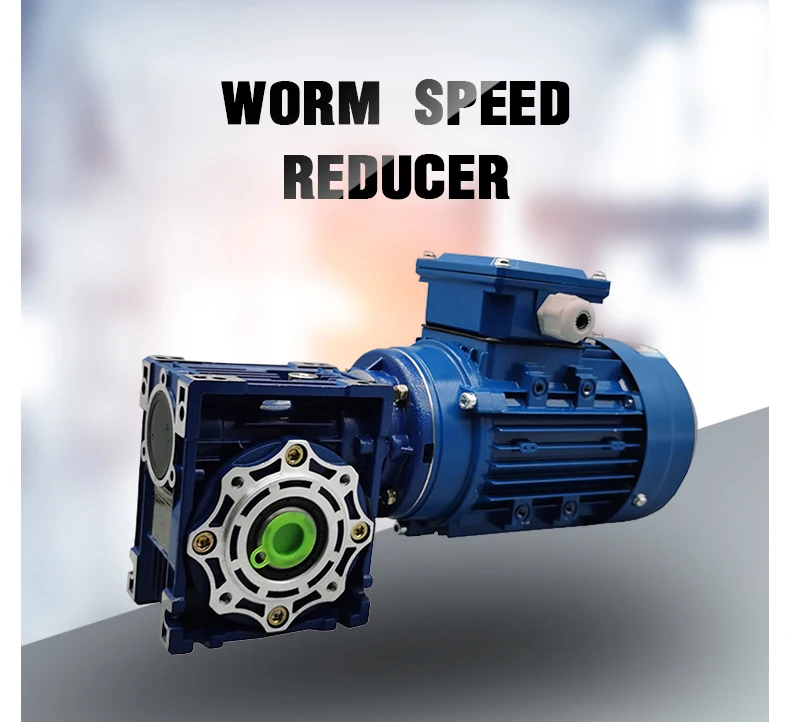 worm gear speed reducer for electric motor