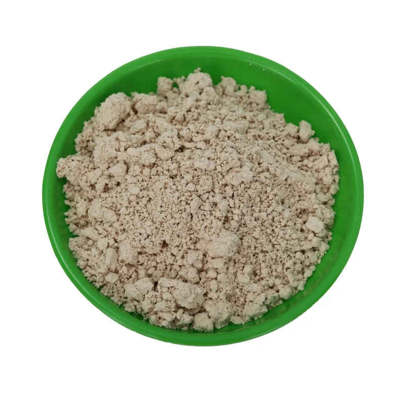 Wholesale Bigger Manufacture Cheaper Diatomite Price Diatomite Powder for Gardening
