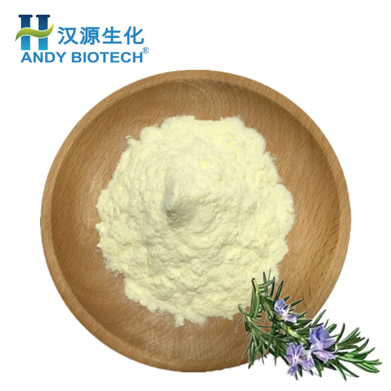 High Quality Rosemary Extract Rosemary Leaf Extract  25% Ursolic Acid Powder