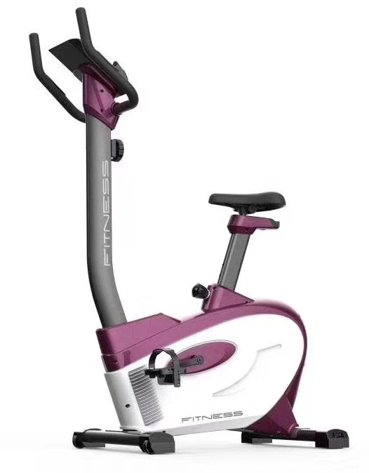 Solid framework stable top bearing weight loss exercise fitness magnet bike