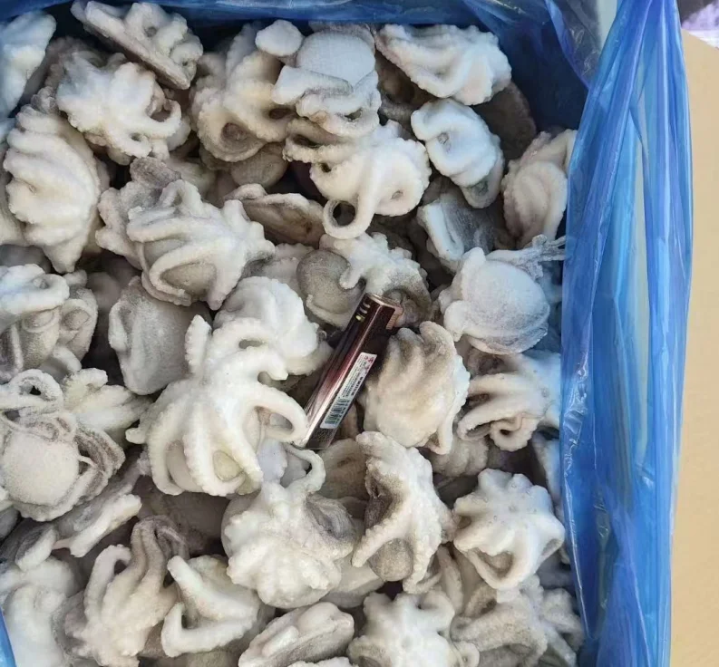 Origin china New Season Cleaned Baby Octopus