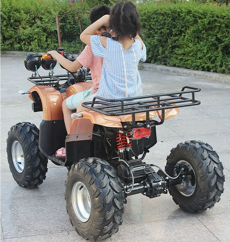 Electric Battery Power ATV/UTV for farm transport  20KW motor electric UTV ATV 4x4 off-road vehicles farm mountain truck