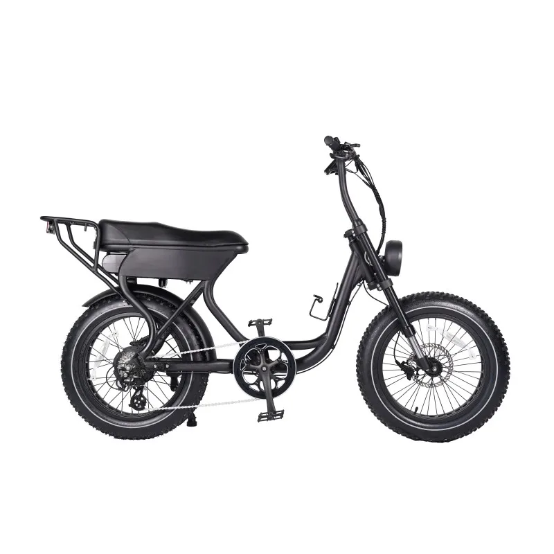 20 inch 36 V 250 W aluminum alloy  electric bicycle