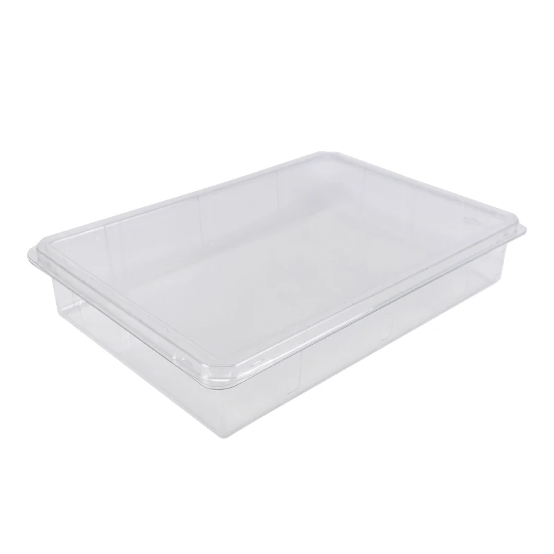 Wholesale Pastry Tiramisu Cake Large Capacity Clear Plastic Containers Foods Dessert Cupcakes Blister Packaging Box