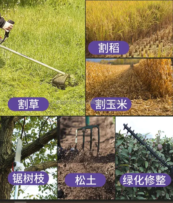 Hot Selling Garden Agricultural Household Lawn Mowerwith Sidepack Mower