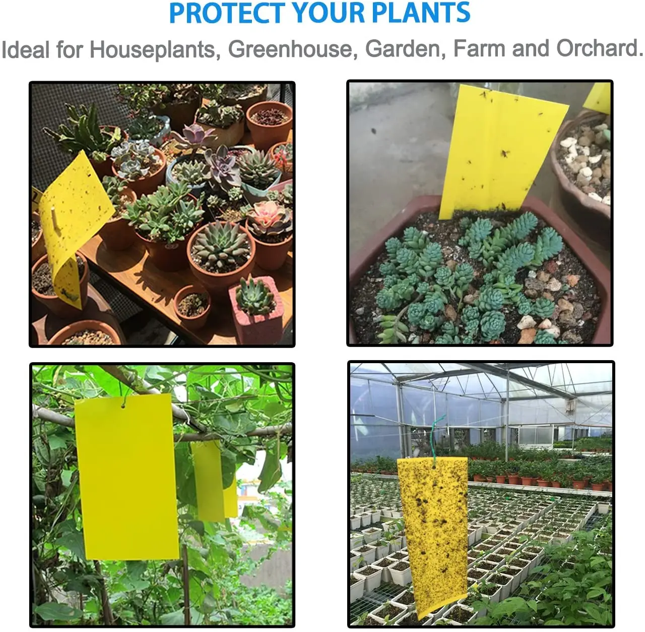 Fruit Fly Traps Yellow Sticky Traps Fungus Gnat Flying Insects Trap For House Plants Indoor And Outdoor